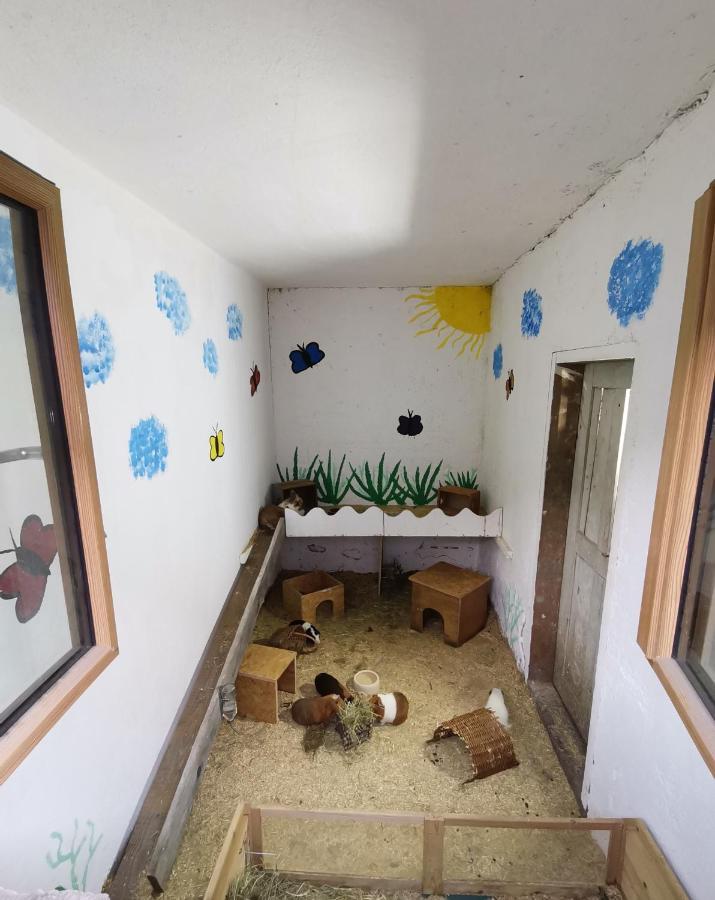 Apartament Hartl Hof Breitenberg  Zewnętrze zdjęcie